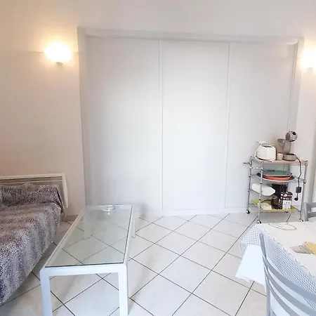 Mimosa 1